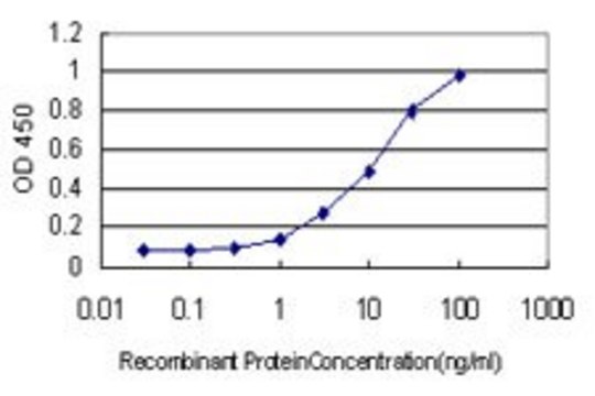Monoclonal Anti-ALDH3B2 antibody produced in