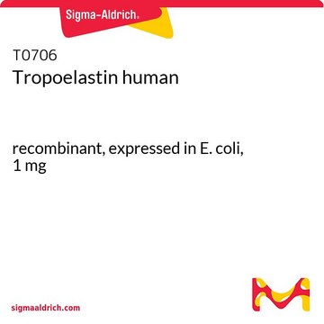 Tropoelastin human