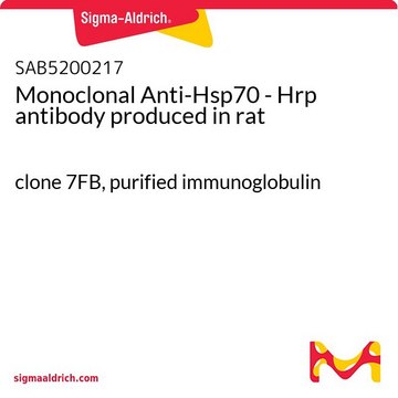 Monoclonal Anti-Hsp70 - Hrp antibody