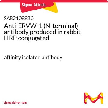 Anti-ERVW-1 (N-terminal) antibody produced in