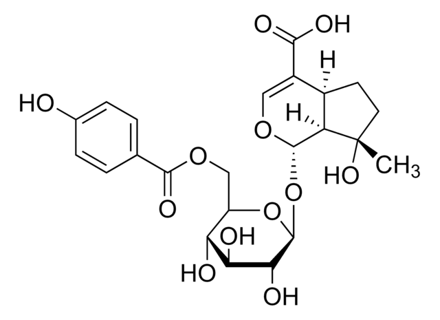 6?-(p-Hydroxybenzoyl)mussaenosidic acid