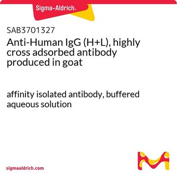 Anti-Human IgG (H+L), highly cross