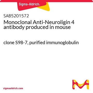 Monoclonal Anti-Neuroligin 4 antibody produced