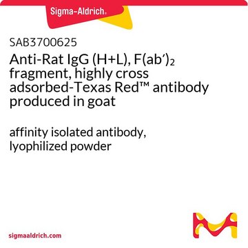 Anti-Rat IgG (H+L), F(ab?)? fragment,