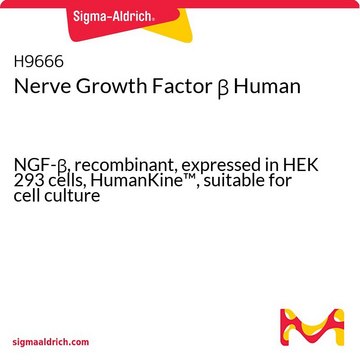 Nerve Growth Factor ? Human