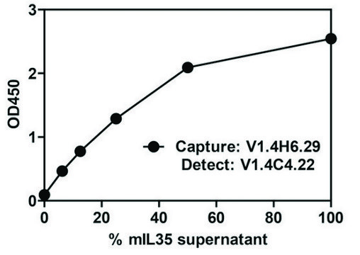 Monoclonal Anti-EBI-3-Biotin antibody produced in
