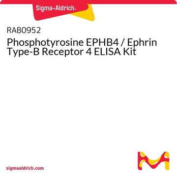 Phosphotyrosine EPHB4 / Ephrin Type-B