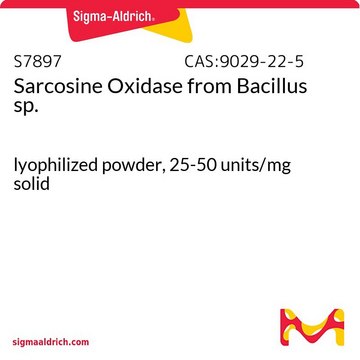 Sarcosine Oxidase from Bacillus sp.