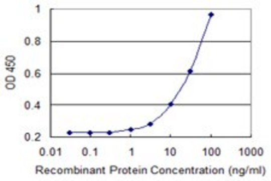 Monoclonal Anti-PPIL2 antibody produced in