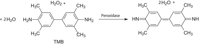 3,3?,5,5?-Tetramethylbenzidine dihydrochloride hydrate