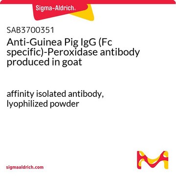 Anti-Guinea Pig IgG (Fc specific)-Peroxidase