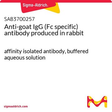 Anti-goat IgG (Fc specific) antibody