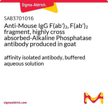 Anti-Mouse IgG F(ab?)?, F(ab?)? fragment,