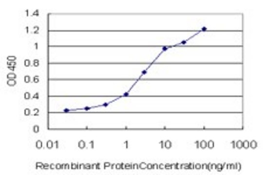 Monoclonal Anti-ANXA10 antibody produced in
