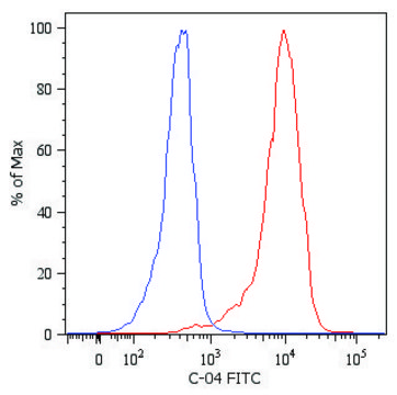 Monoclonal Anti-KRT18-FITC antibody produced in