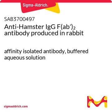 Anti-Hamster IgG F(ab?)? antibody produced