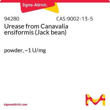 Urease from Canavalia ensiformis (Jack
