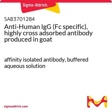 Anti-Human IgG (Fc specific), highly