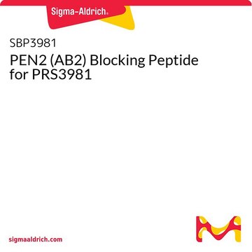 PEN2 (AB2) Blocking Peptide for