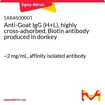 Anti-Goat IgG (H+L), highly cross-adsorbed,
