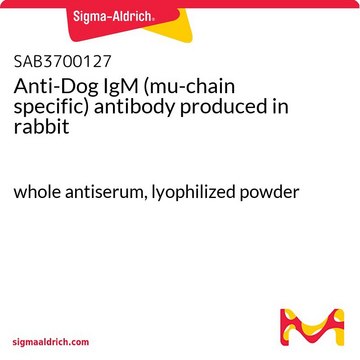 Anti-Dog IgM (mu-chain specific) antibody