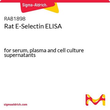 Rat E-Selectin ELISA