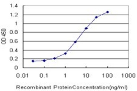 Monoclonal Anti-SLC6A4 antibody produced in