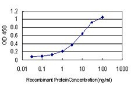 Monoclonal Anti-IGSF8 antibody produced in
