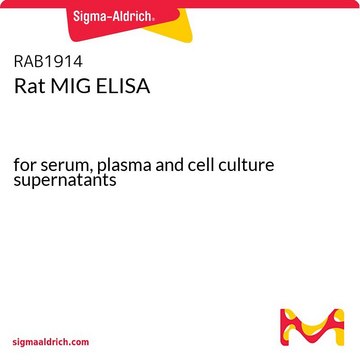 Rat MIG ELISA
