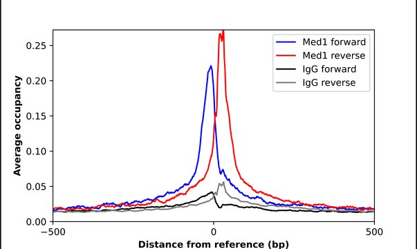 Anti-MED1 antibody produced in rabbit