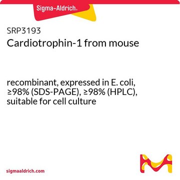 Cardiotrophin-1 from mouse