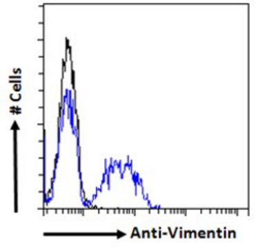 Anti-HRH2 antibody produced in goat