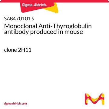 Monoclonal Anti-Thyroglobulin antibody produced in