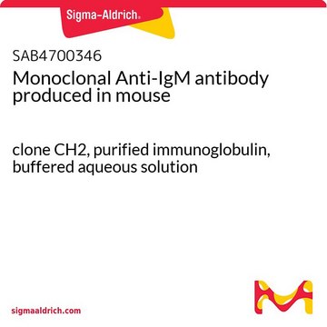 Monoclonal Anti-IgM antibody produced in