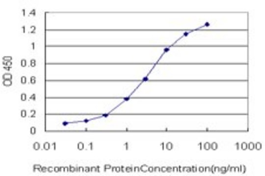 Monoclonal Anti-ABTB1 antibody produced in
