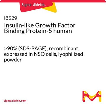 Insulin-like Growth Factor Binding Protein-5