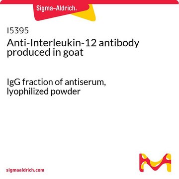 Anti-Interleukin-12 antibody produced in goat