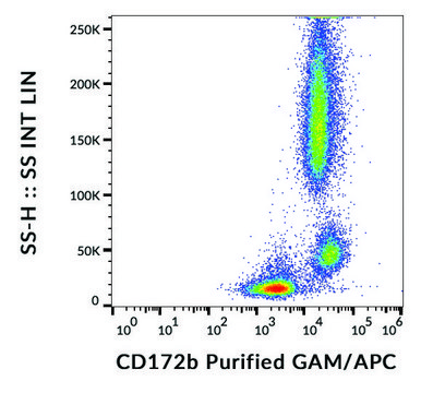 Monoclonal Anti-CD172b/SIRP beta antibody produced
