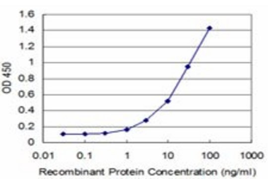 Monoclonal Anti-FOXF1 antibody produced in