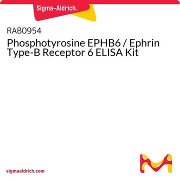 Phosphotyrosine EPHB6 / Ephrin Type-B