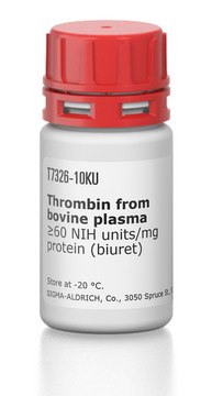 Thrombin from bovine plasma
