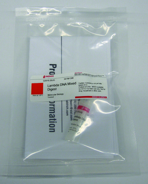 Lambda DNA Mixed Digest