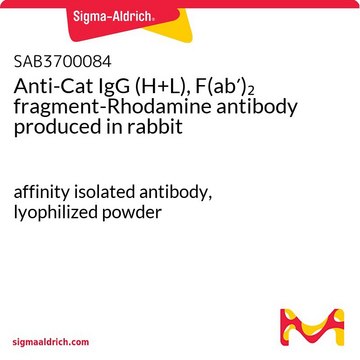 Anti-Cat IgG (H+L), F(ab?)? fragment-Rhodamine
