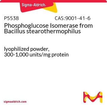 Phosphoglucose Isomerase from Bacillus stearothermophilus