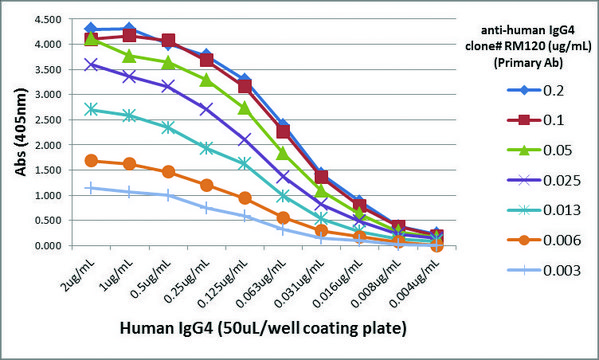 Anti-Human IgG4-Biotin antibody, Rabbit monoclonal