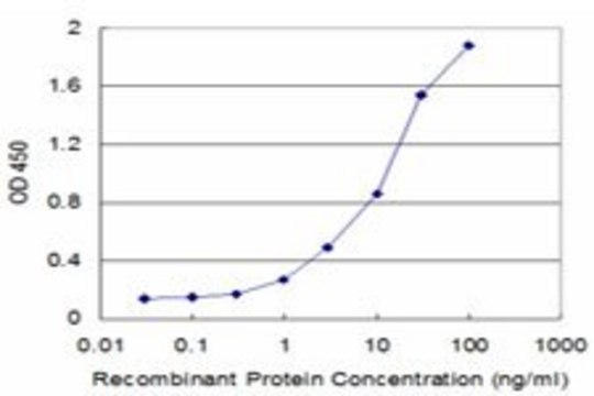 Monoclonal Anti-ECHS1, (C-terminal) antibody produced