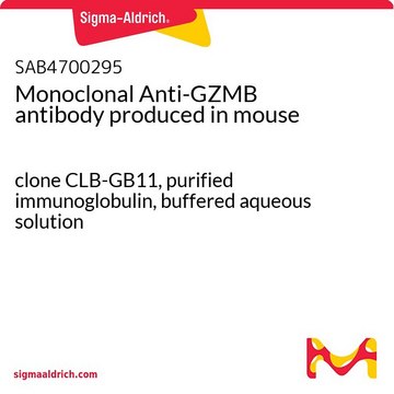Monoclonal Anti-GZMB antibody produced in