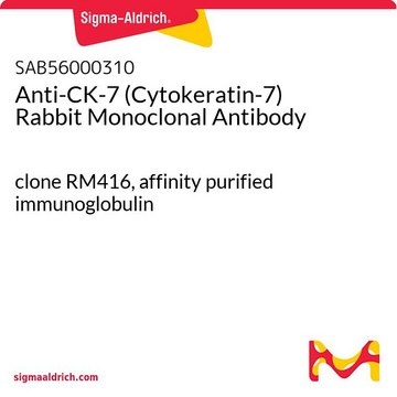 Anti-CK-7 (Cytokeratin-7) Rabbit Monoclonal Antibody