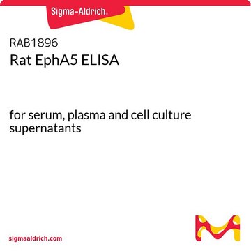 Rat EphA5 ELISA