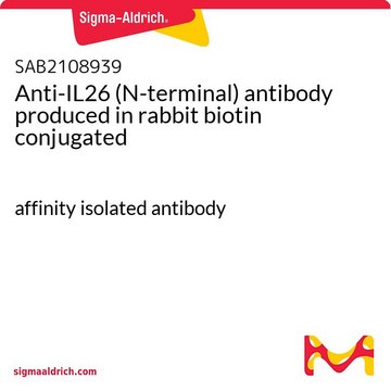 Anti-IL26 (N-terminal) antibody produced in